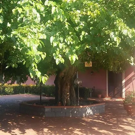 Il Pozzo Antico *